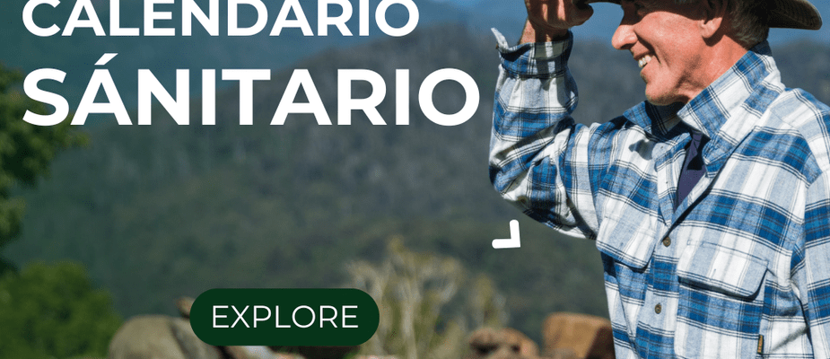 Calendário Sanitário do Gado: O Guia Completo para o Ano Todo