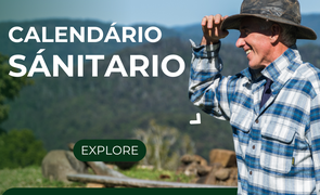 BANENR DO CALENDARIO SANITARIO